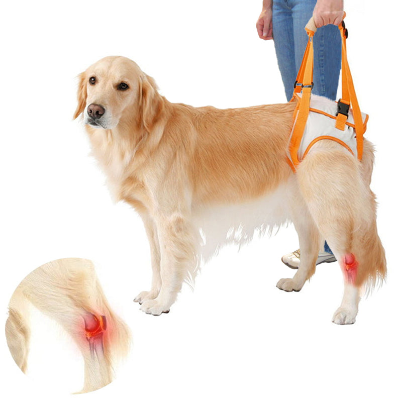 Norvo | Dog Support Lift Harness for ACL Rehab & Arthritis