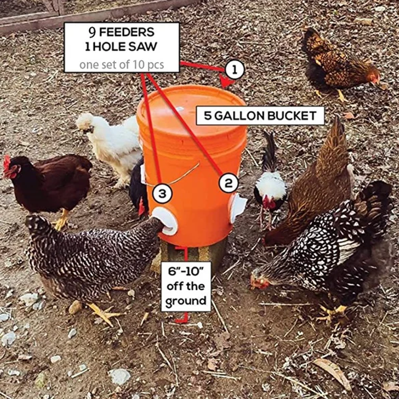 Norvo | DIY Kyllingmater