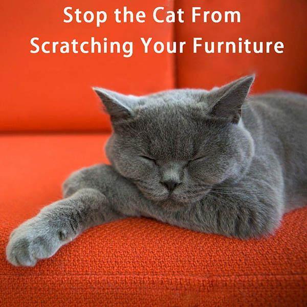 Norvo | Anti-katt Klore Sofa Beskytter (2stk med 10 pinner)