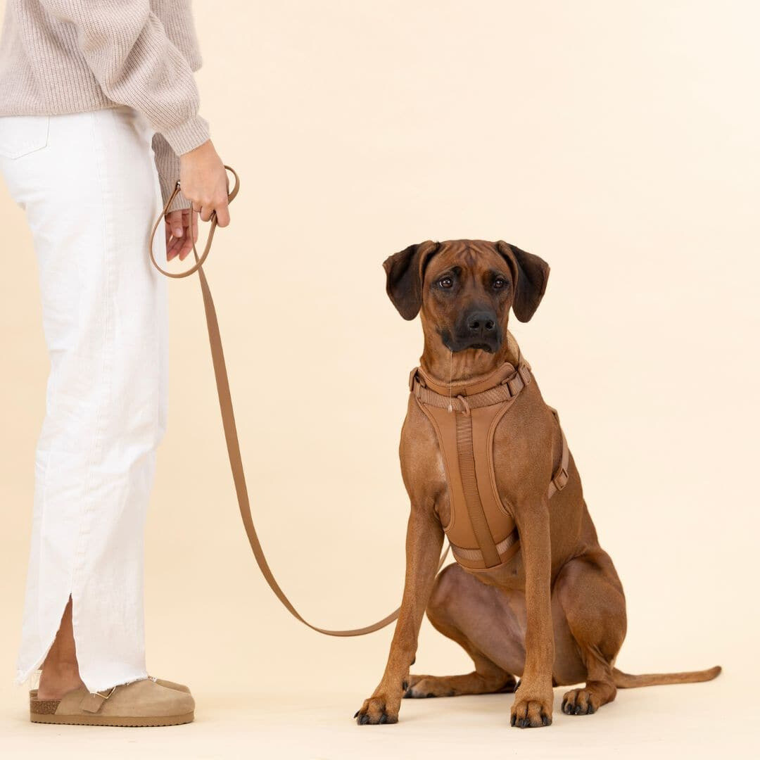 Norvo | ComfyPaws Hundesele Gåsett med Bånd og Bæsjeposeholder