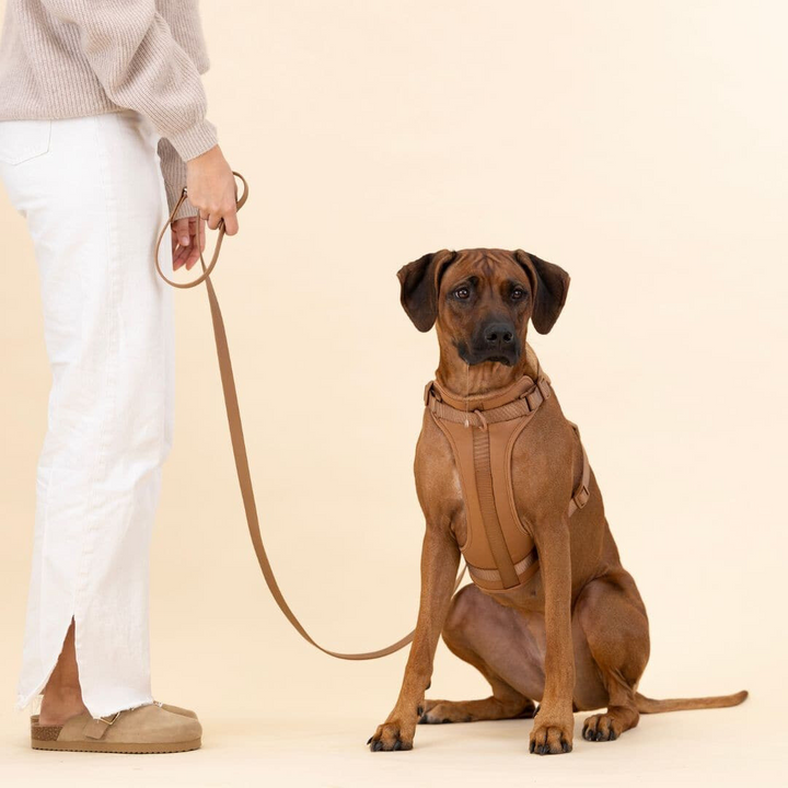 Norvo | ComfyPaws Hundesele Gåsett med Bånd og Bæsjeposeholder