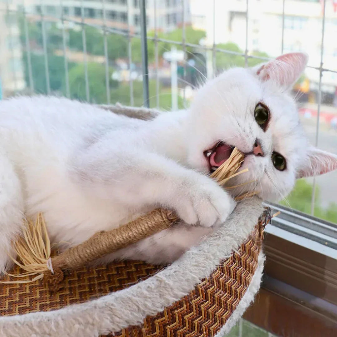 PawBite – Naturlige Tygestikker for Katter Norvo