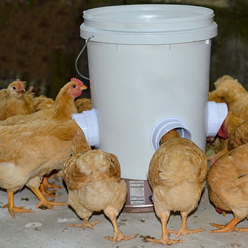 Norvo | DIY Kyllingmater