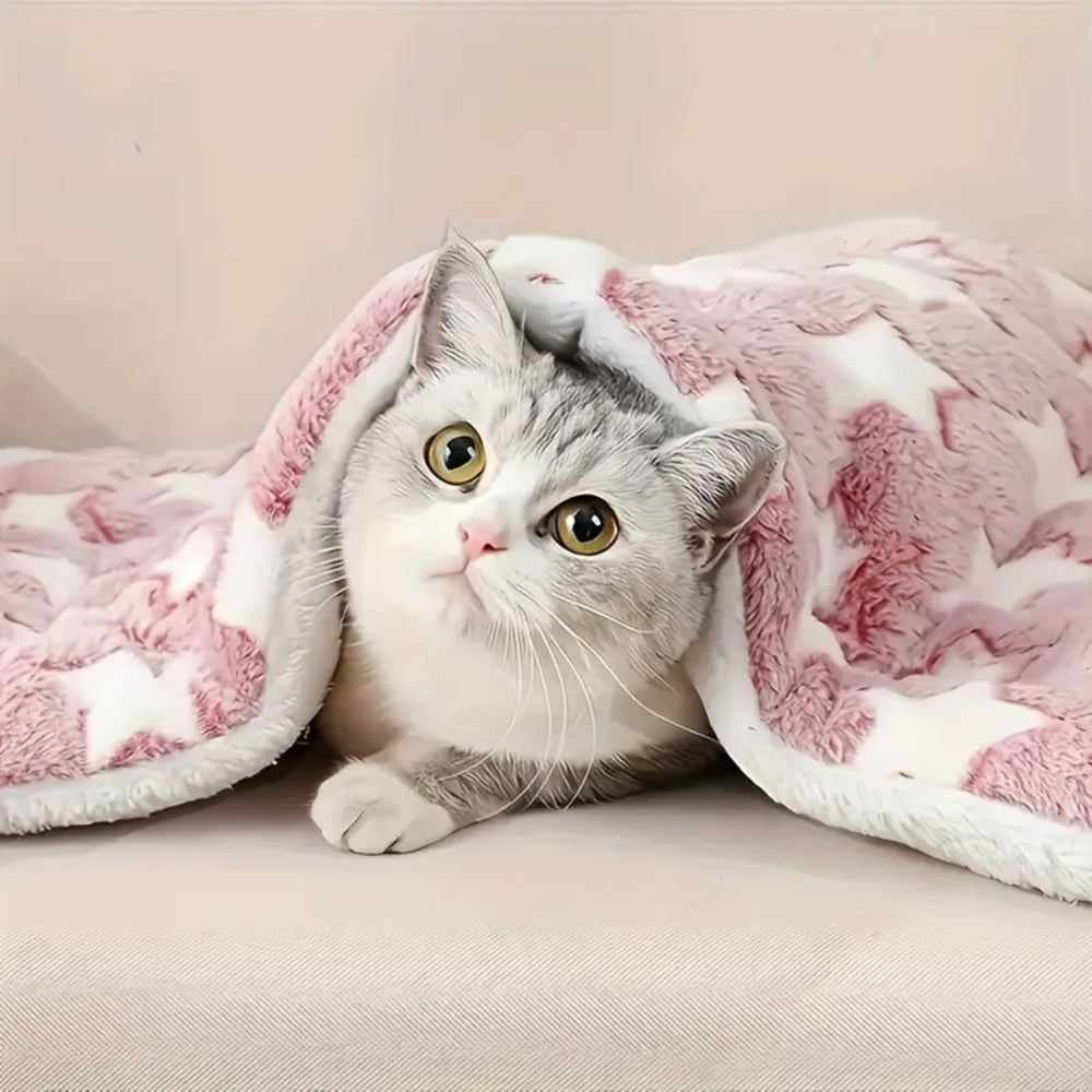 Norvo | Snuggly Star Ultra-Varm Katt- og Hundeseng