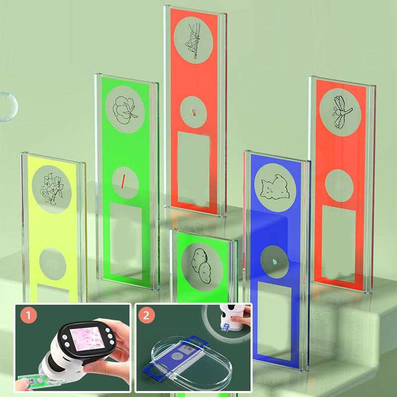 Norvo | Bærbar Mikroskop med Belysning er egnet for hjemmebruk