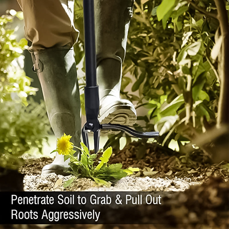 Norvo | Rustfritt stål justerbart langt håndtak avtagbar ugressfjerner