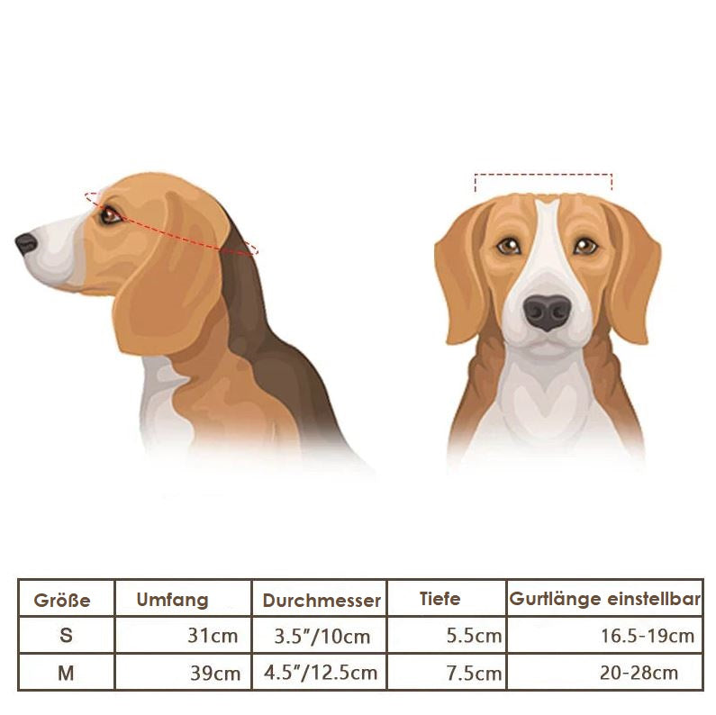 Norvo | Motorsykkelhjelm og briller for hunder – Trendy og trygt