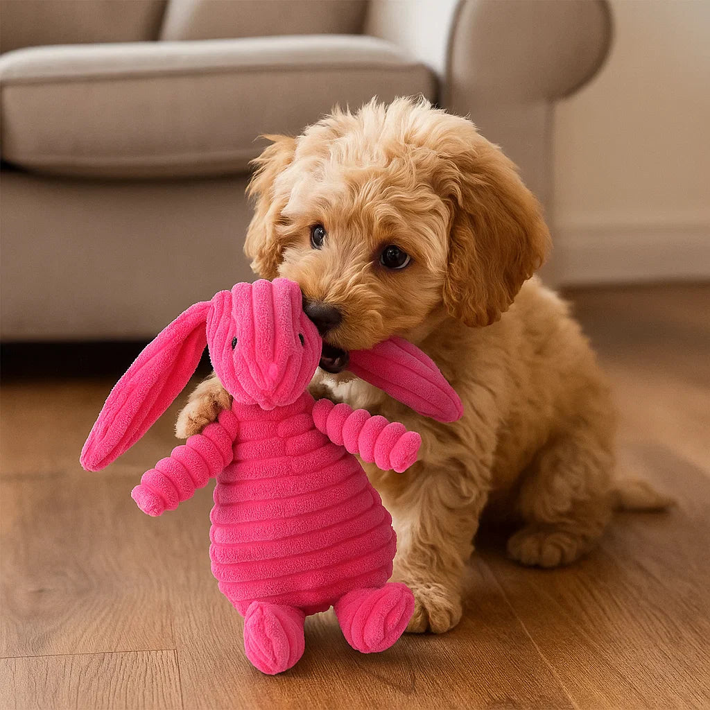 Norvo | Hundelek Plush Squeaky Chew Dyr