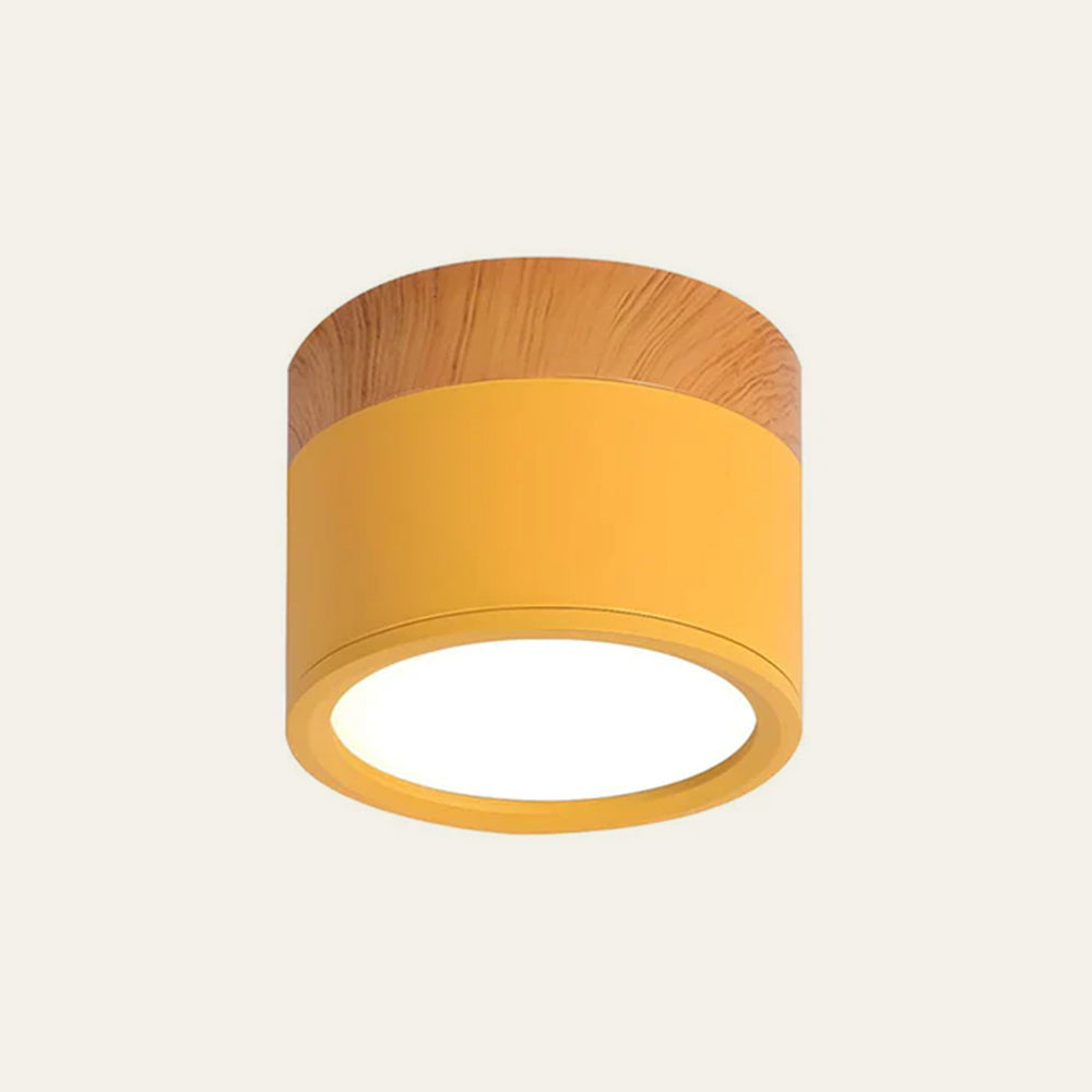 Norvo | LED Taklampe Moderne Flush Mount Sylinder