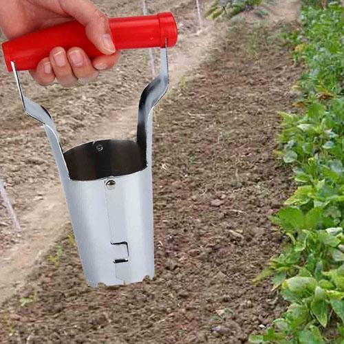 Norvo | Hage Transplantasjonsvenn