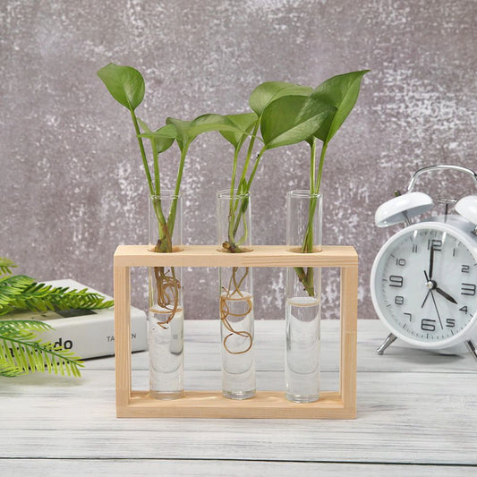 Norvo | Test Tube Vase