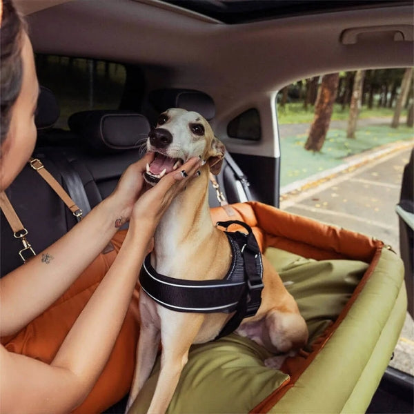 Norvo | Stor Deluxe Bilhundeseng | Baksete Forlenger & Bilsete Beskyttelse