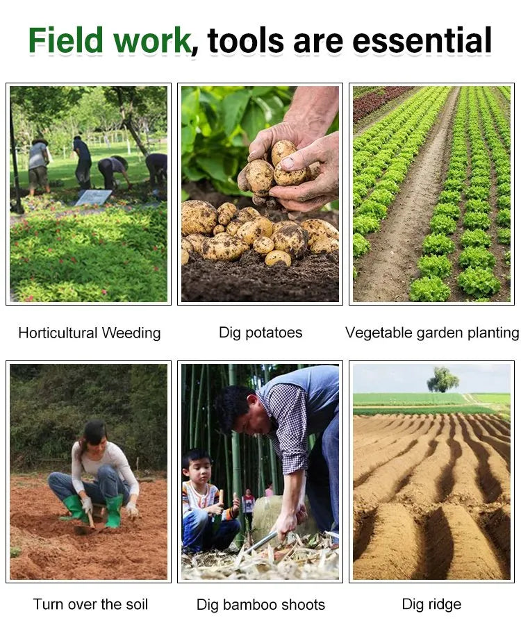 Norvo | WeedMaster™ - Ditt ultimate lukeverktøy