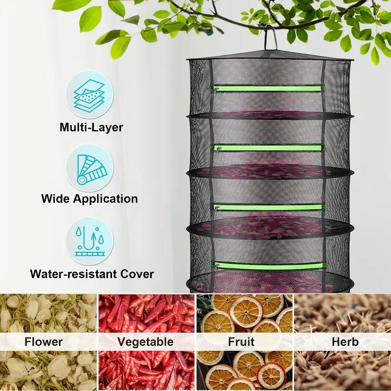 Norvo | Sammenleggbar tørkekurv for frukt, grønnsaker og urter – Multilags nettlagring for rask tørkeprosess