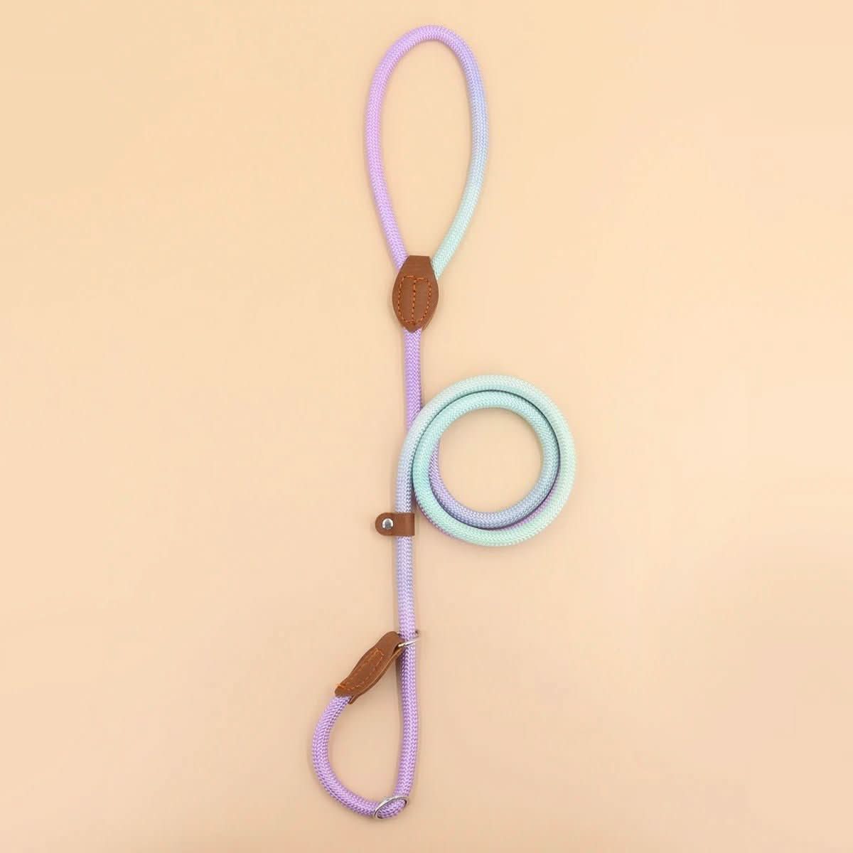 Norvo | CLÉMENTINE BÅND – Farget hundebånd for stilige turer med komfort