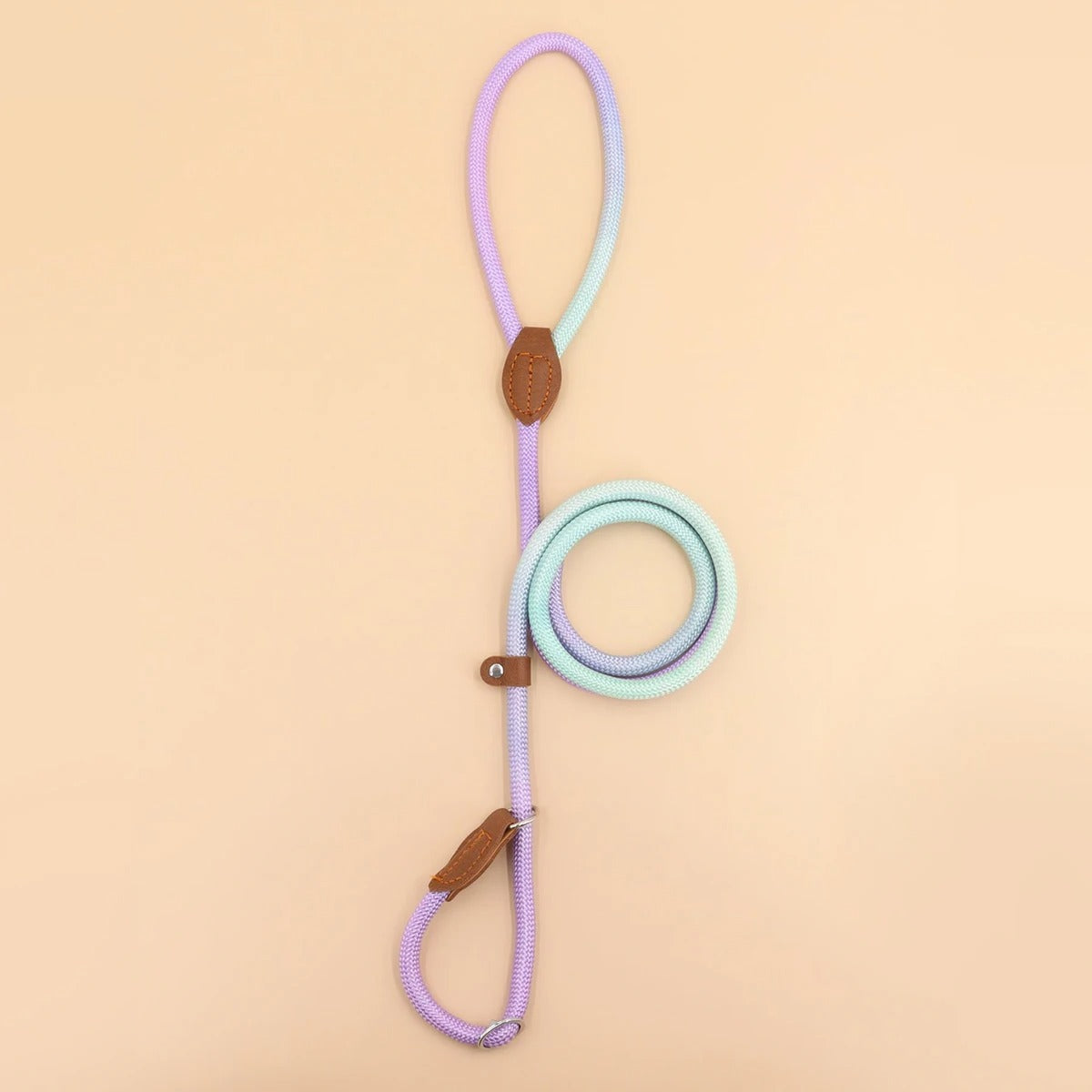 Clémentine Setrain – Fargerik Hundelenke for Stilig Gåtur Norvo