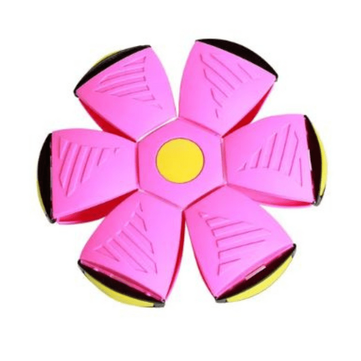 Norvo | Fast FidoHuntlet — Start ren lekenhet og kraft i hvert hundeblikk!