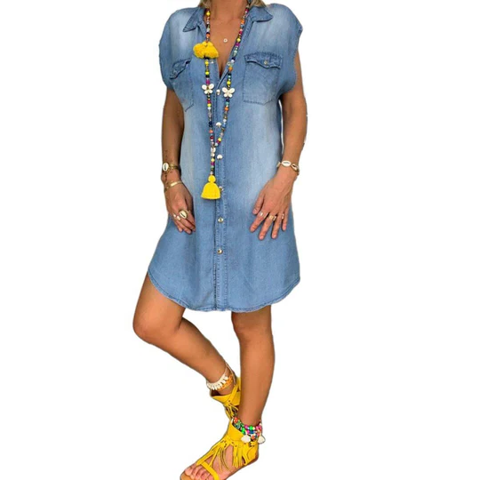 Norvo | Denim Straight Dress