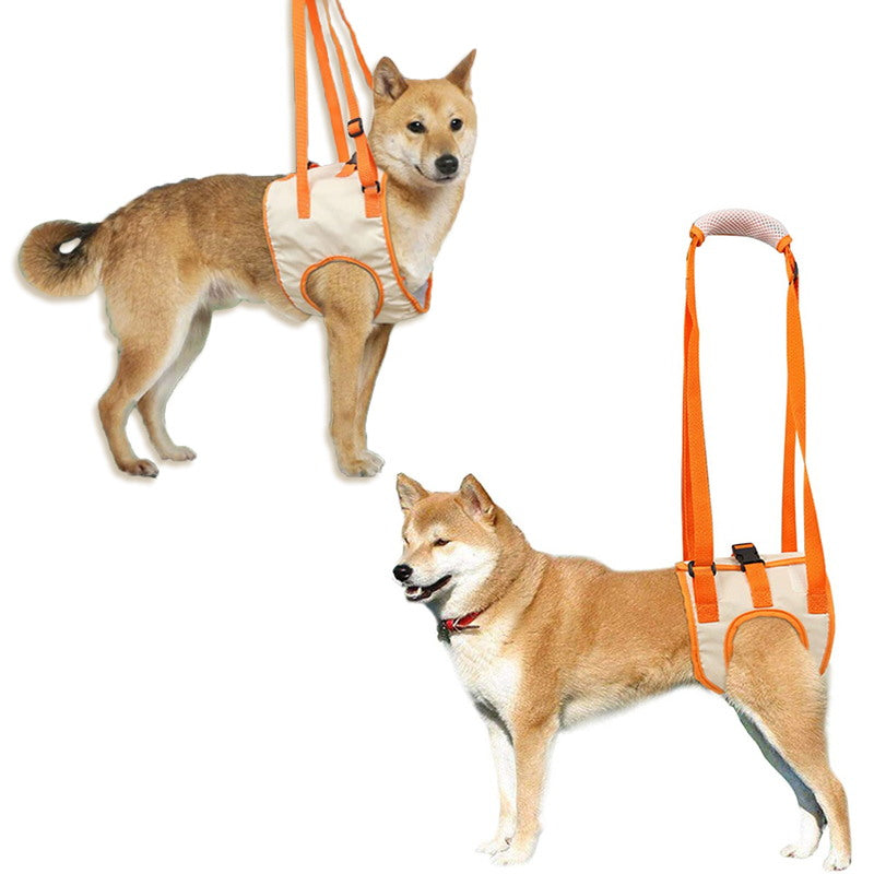 Norvo | Dog Support Lift Harness for ACL Rehab & Arthritis