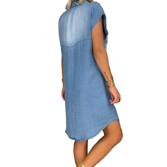 Norvo | Denim Straight Dress