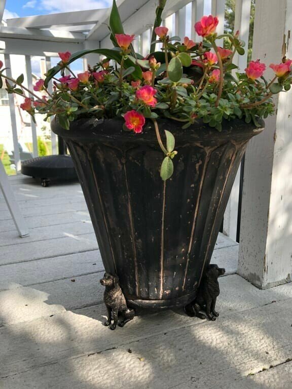 Norvo | Potty Feet Blomsterpotteføtter