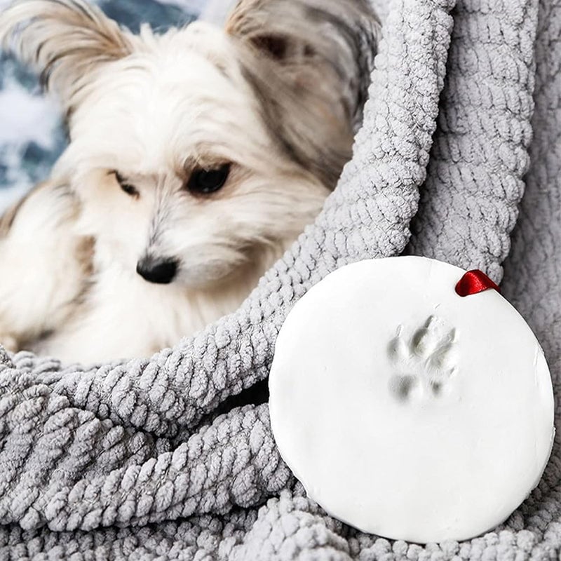 Norvo | Clay Pet Paw Impression Moulding Kit