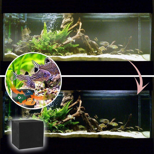 Norvo | Eco-Aquarium Vannrenser Kubus