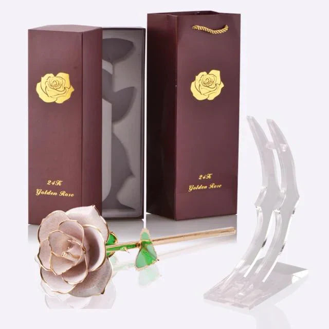 Norvo | 24k Gulldyppet Evig Rose