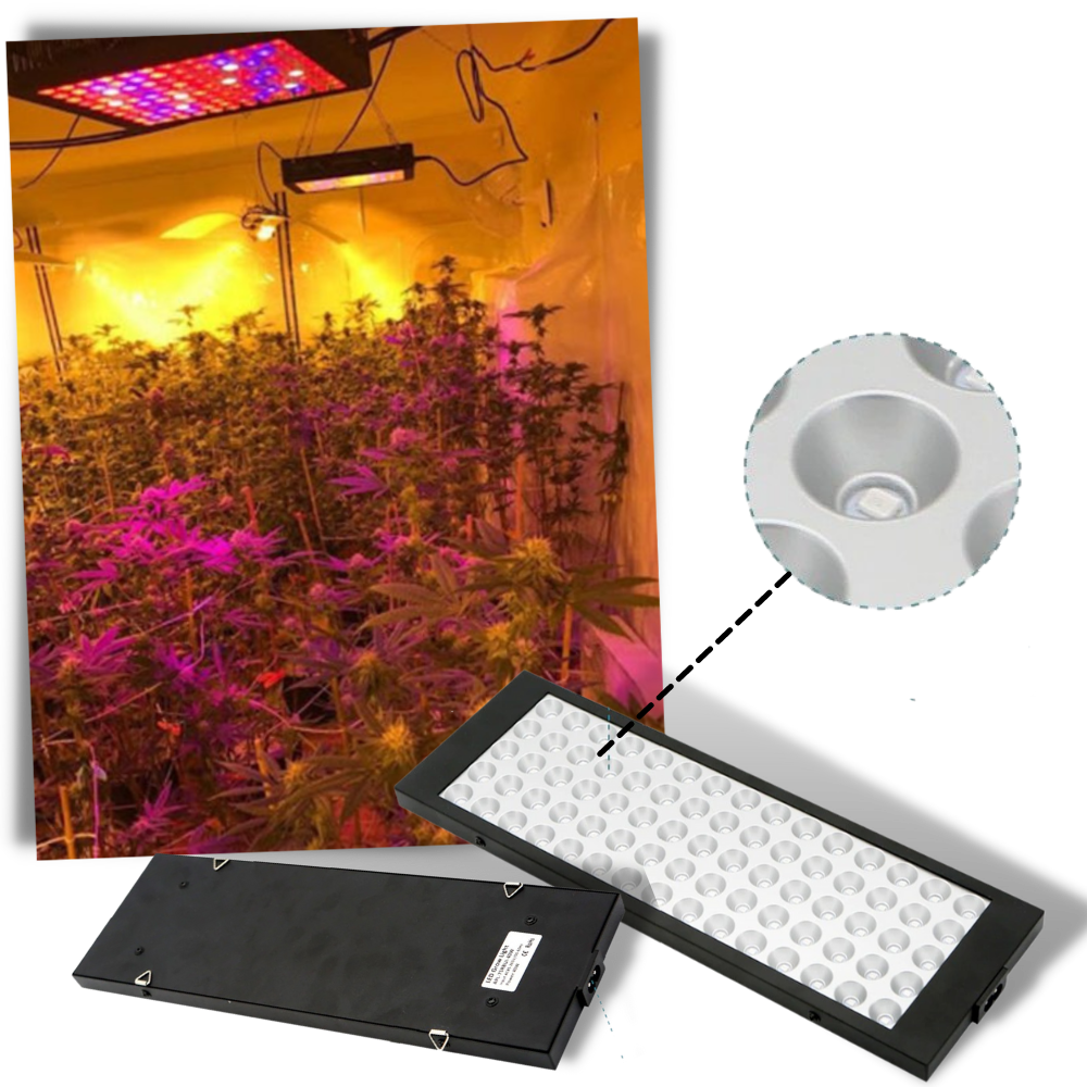 Hengende LED vekstlampe med fult spektrum