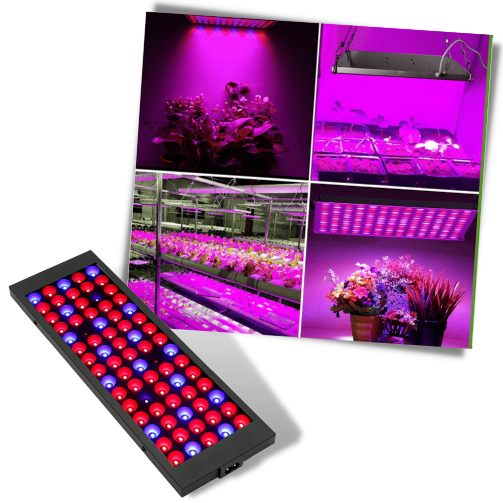 Hengende LED vekstlampe med fult spektrum