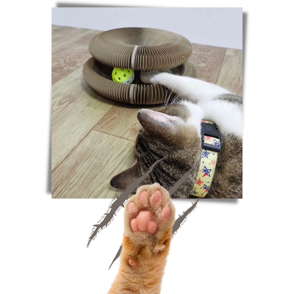 Klorebrett til katt