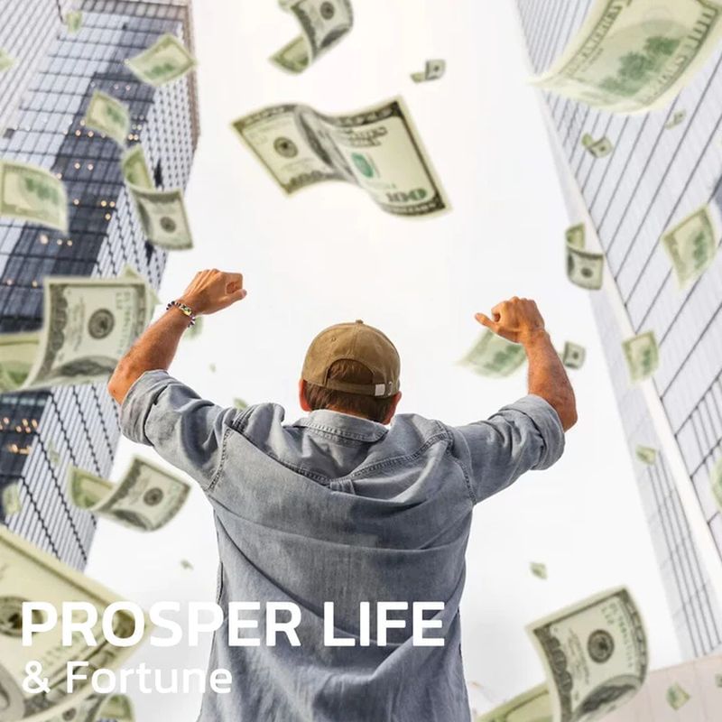 Norvo | FengShui Pi Xiu Amethystarmbånd