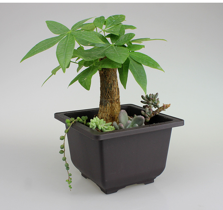 Norvo | Blomsterkrukke med fat – Rekktangulær blomsterkrukke for hage og balkong