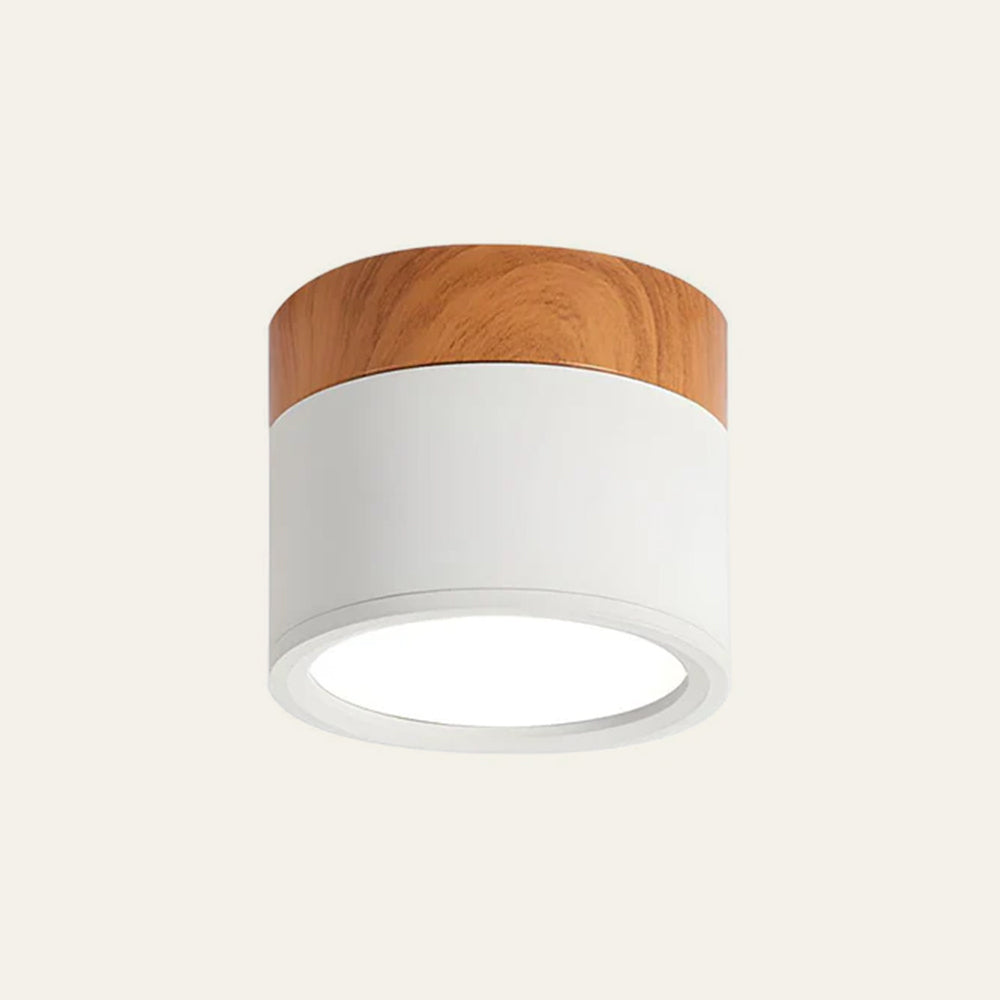 Norvo | LED Taklampe Moderne Flush Mount Sylinder