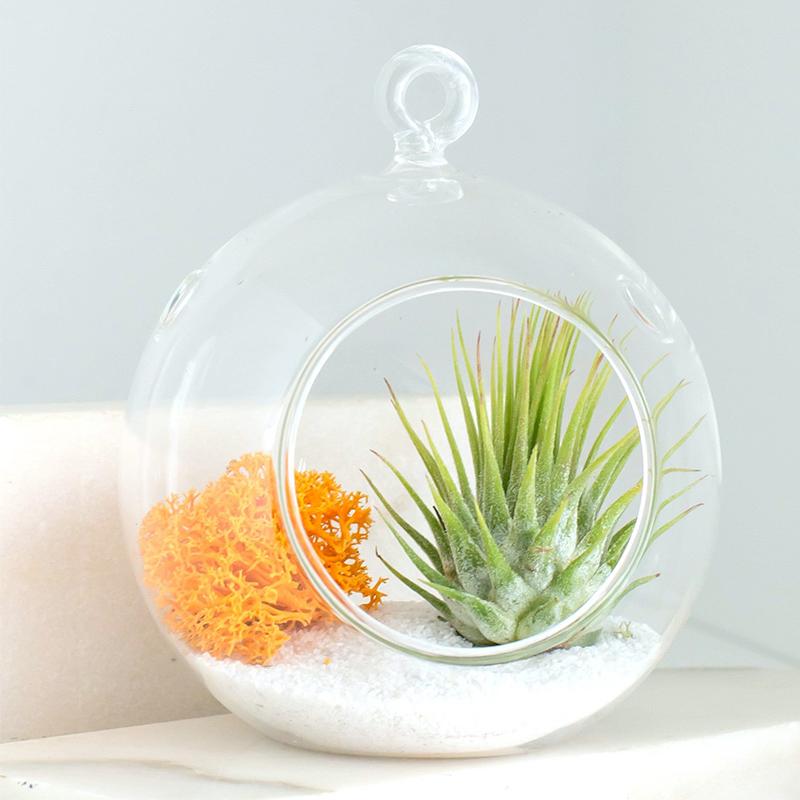 Norvo | Hengende Glass Urtepotter