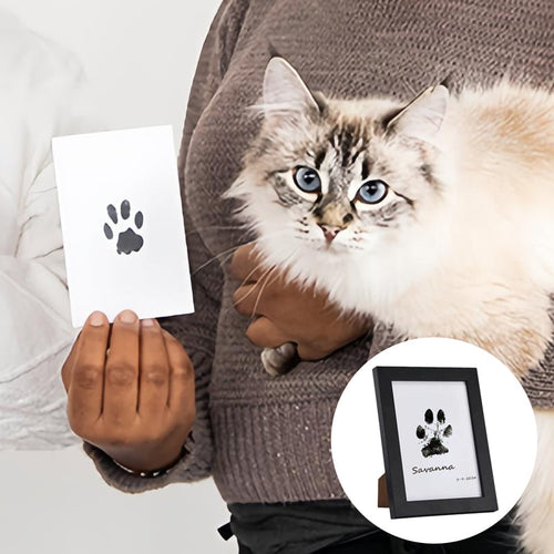 Norvo | DIY Kattedyr Poteavtrykk Minne Ramme