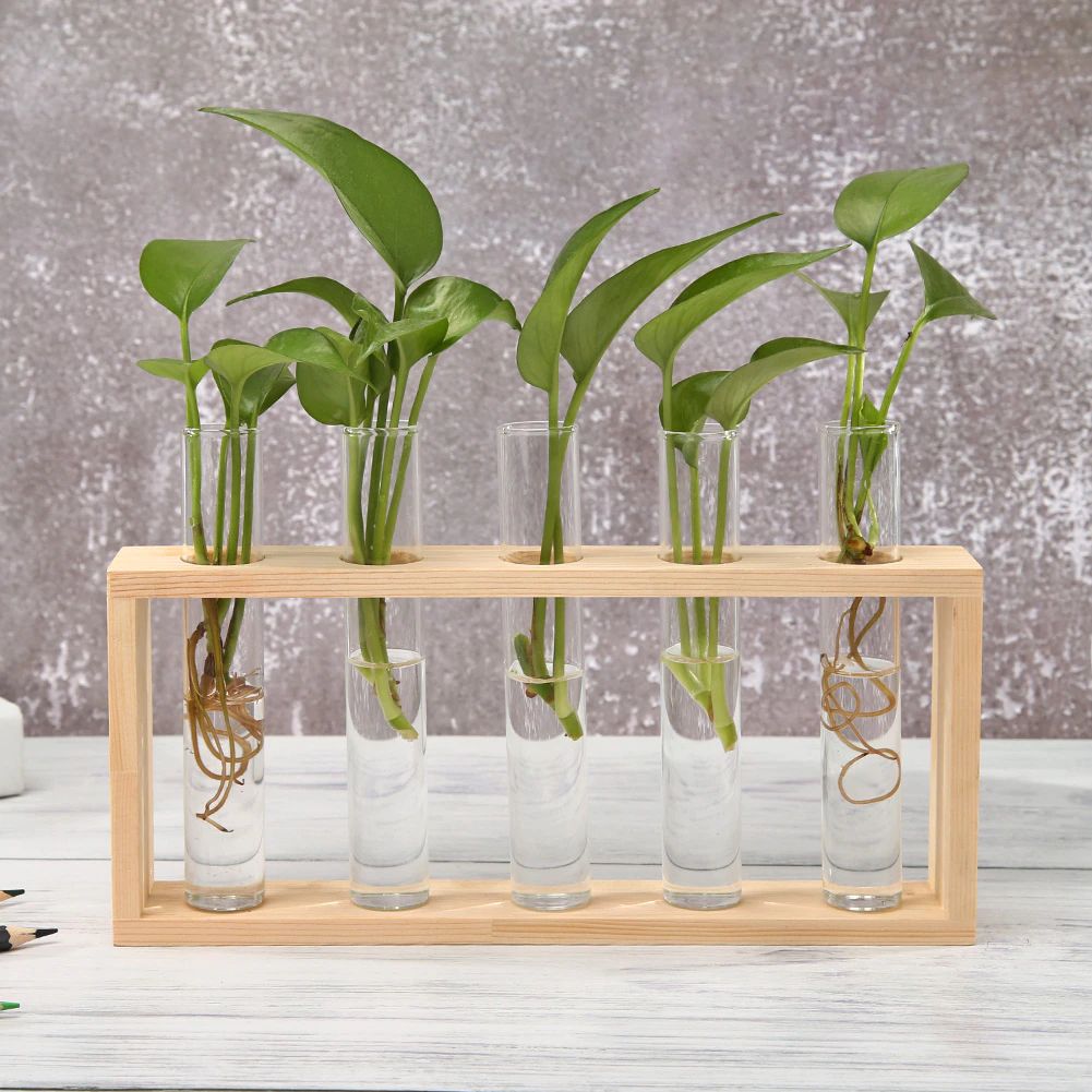 Norvo | Test Tube Vase