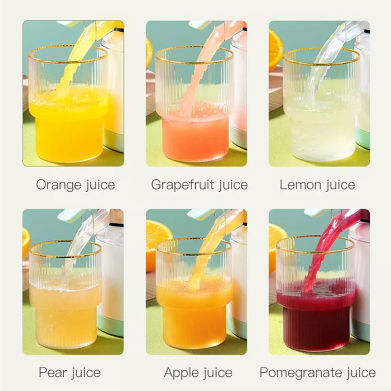 Norvo | Automatisk husholdnings elektrisk juicer