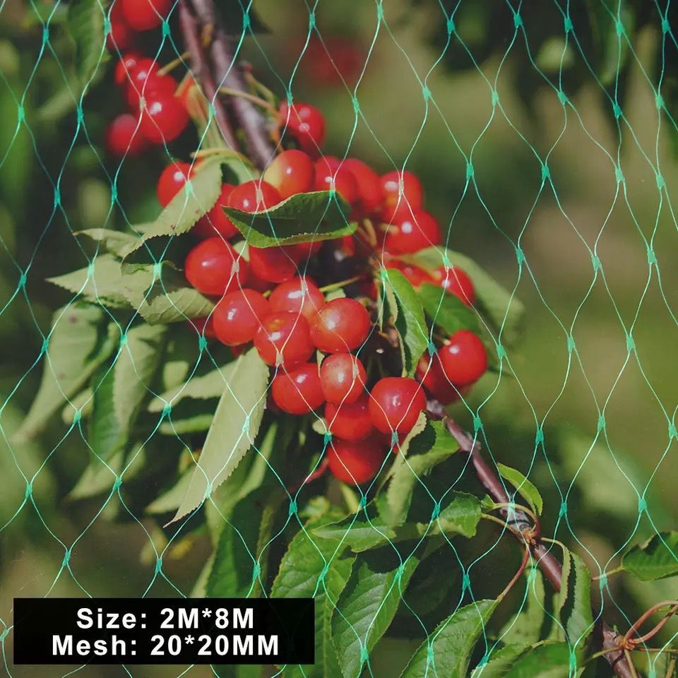 Norvo | Beskyttelsesnett for hageplanter – Grønt nett mot skadedyr og dyr