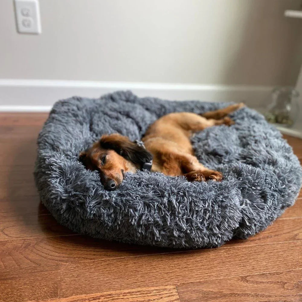 Norvo | Beroligende Hundeseng