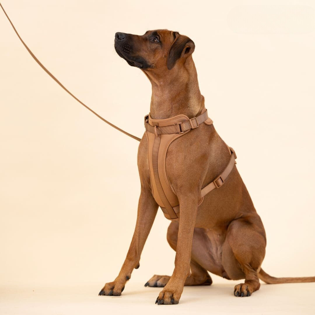 Norvo | ComfyPaws Hundesele Gåsett med Bånd og Bæsjeposeholder