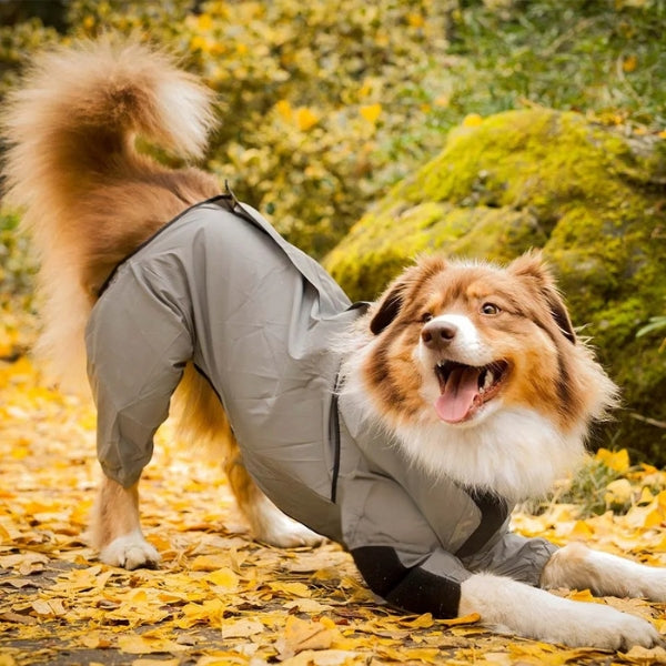 Norvo | Hunderegndress med ben - Vanntett hundejakke for små og store raser | UK Koselig vinterklær