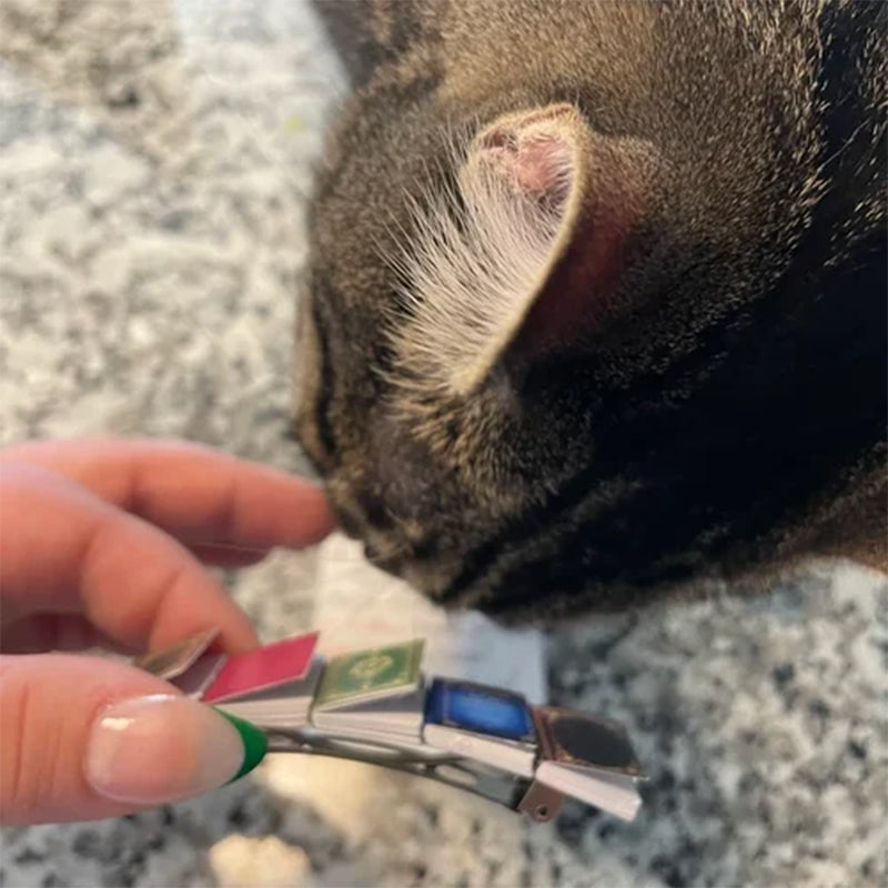 Norvo | Miniatyrbok Hårnål Barrette