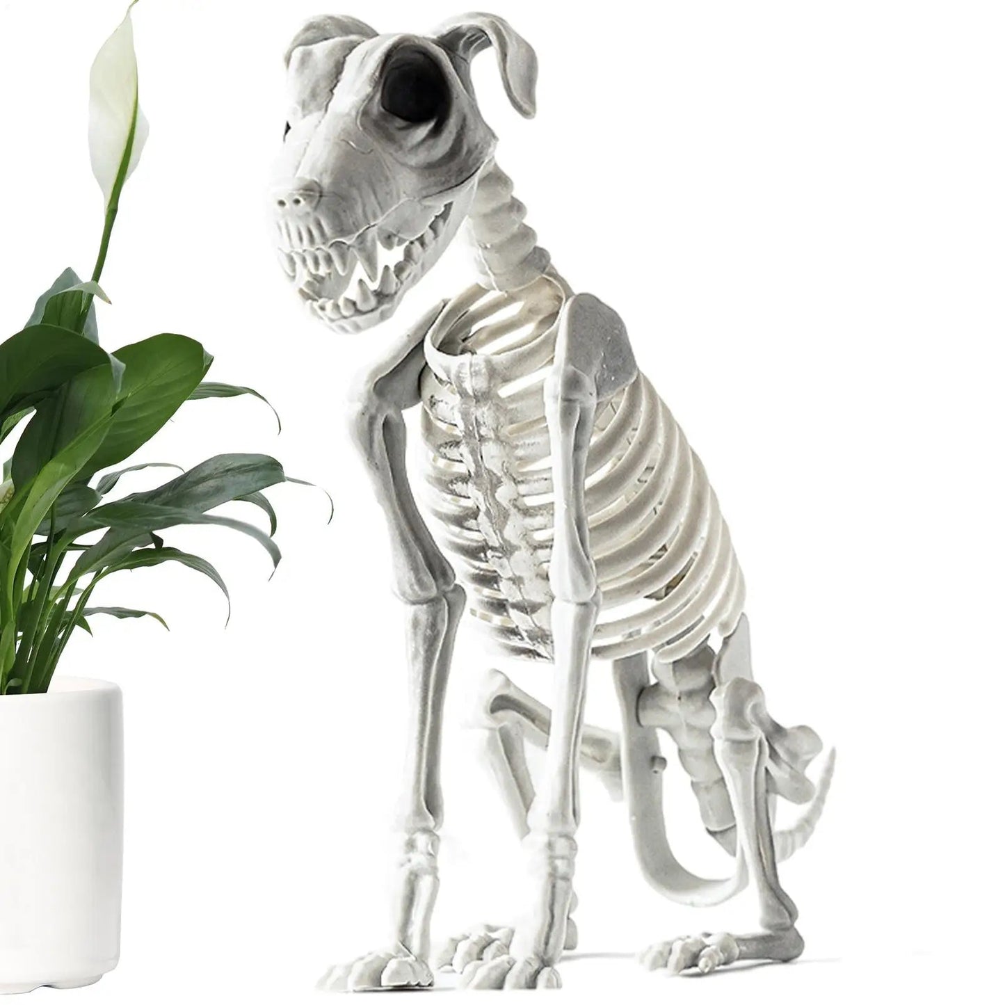 Norvo | Spooky Skeleton Dog Halloween Dekor Statuer
