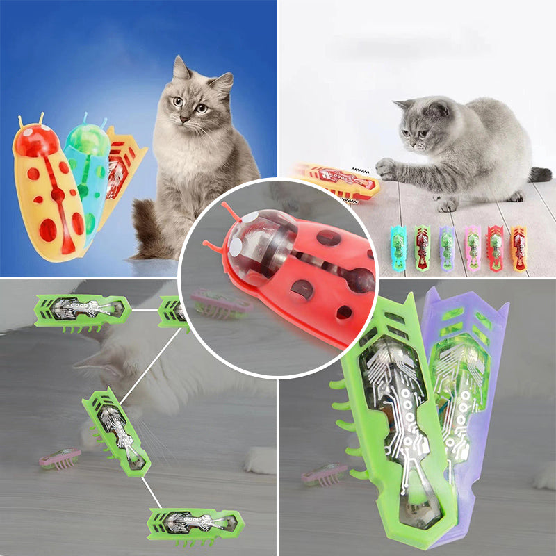 Norvo | Pet Electric Insect Toy