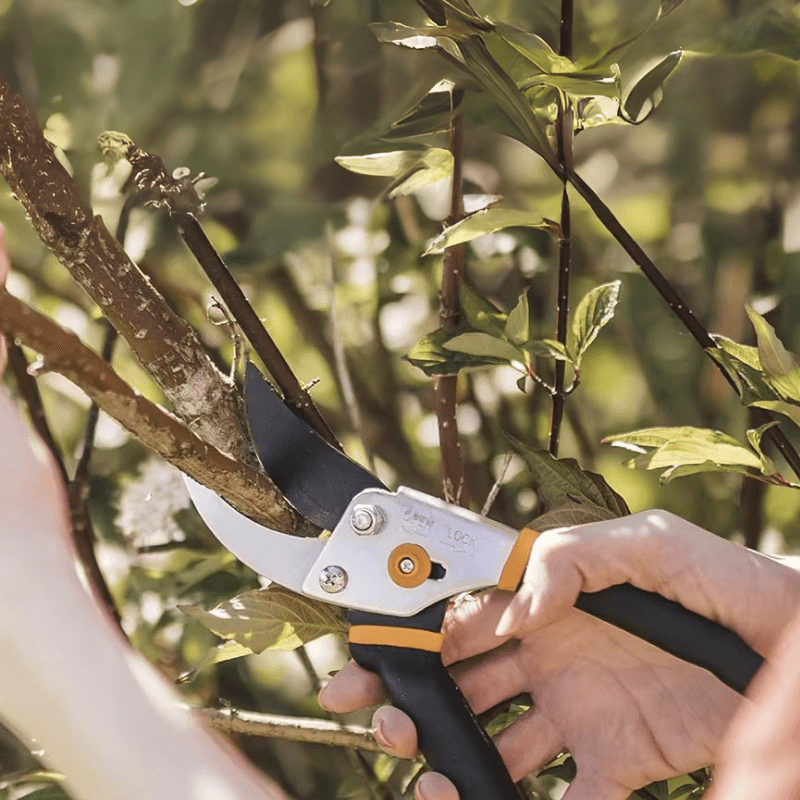 Norvo | Cutivor Pro Hagesaks | Rustfritt Stålblad | Ergonomisk & Rutsjningsfri | Presisjon for Frukttrær & Busker