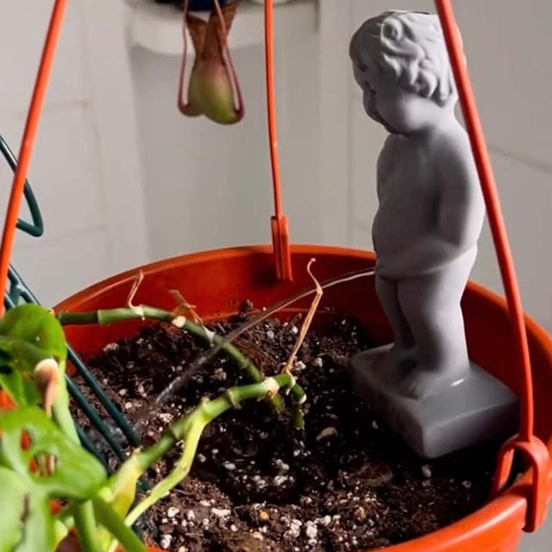 Norvo | Pee My Plants Hage Skulptur