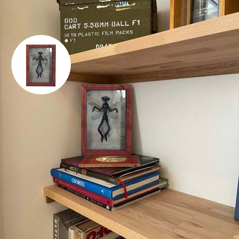 Norvo | Mysterisk mumifisert fe i ramme