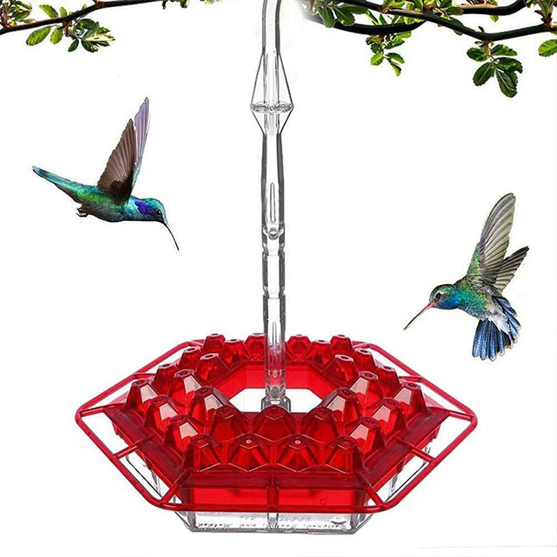 Norvo | Ny Kolibri Matare