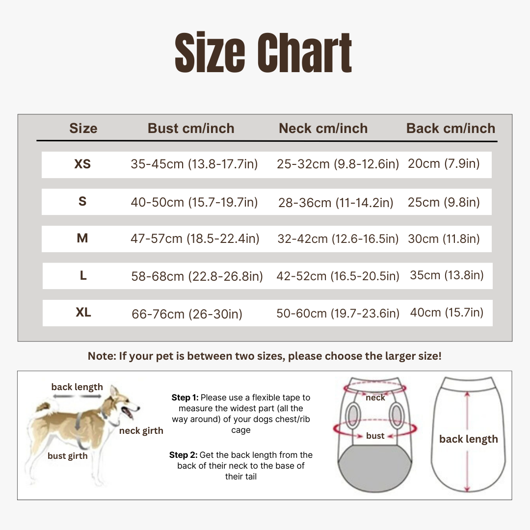 Norvo | Hundelivsnette | Forbedret flyteevne, justerbar passform og hurtigutløser for vannopplevelser | Flytevest for hunder